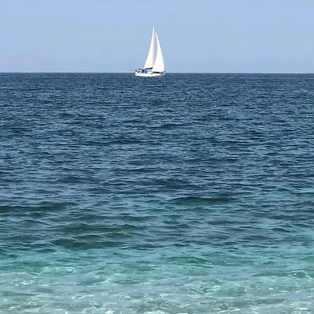 Апартаменты Pet Friendly *